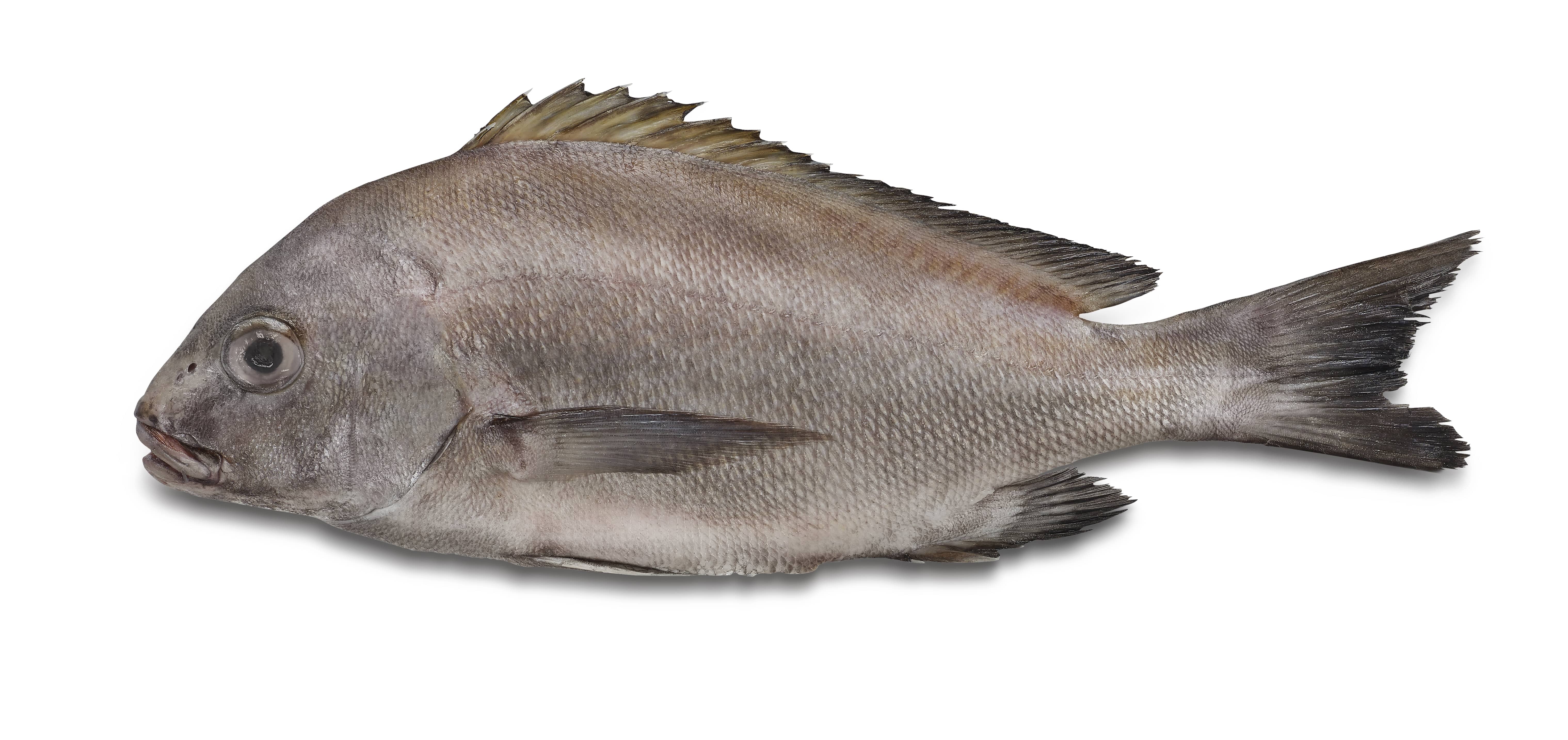 Whole fish